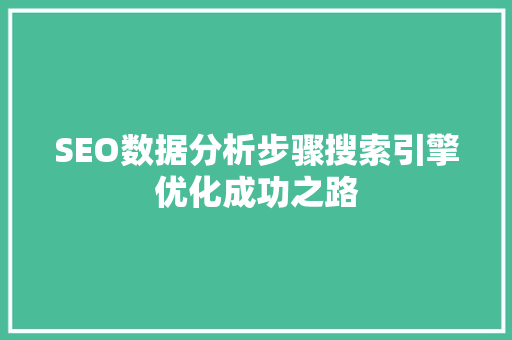 SEO数据分析步骤搜索引擎优化成功之路