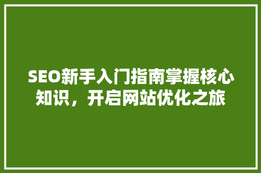 SEO新手入门指南掌握核心知识，开启网站优化之旅