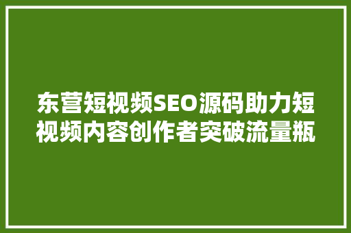 东营短视频SEO源码助力短视频内容创作者突破流量瓶颈