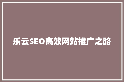 乐云SEO高效网站推广之路
