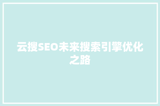 云搜SEO未来搜索引擎优化之路