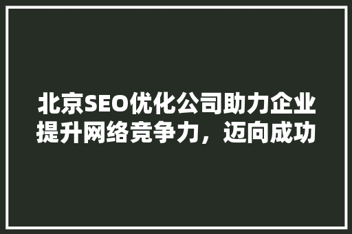 北京SEO优化公司助力企业提升网络竞争力，迈向成功之路