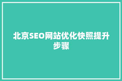北京SEO网站优化快照提升步骤