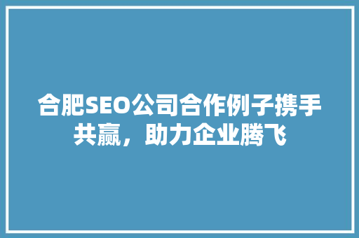 合肥SEO公司合作例子携手共赢，助力企业腾飞