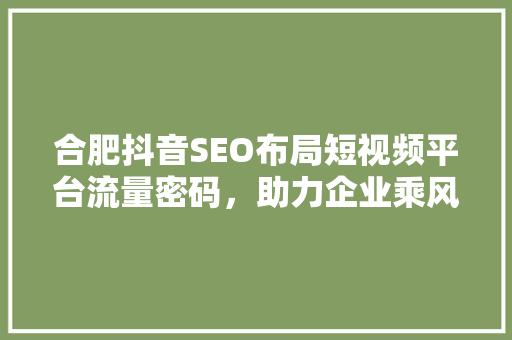 合肥抖音SEO布局短视频平台流量密码，助力企业乘风破浪