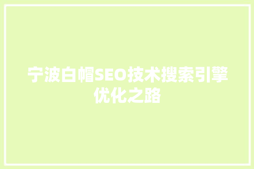 宁波白帽SEO技术搜索引擎优化之路  第1张