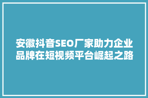 安徽抖音SEO厂家助力企业品牌在短视频平台崛起之路