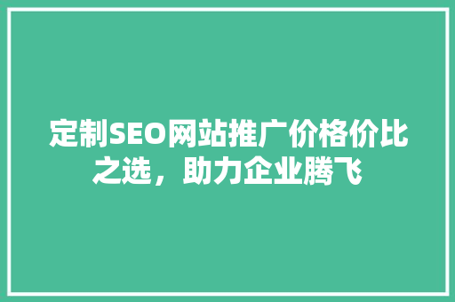 定制SEO网站推广价格价比之选，助力企业腾飞