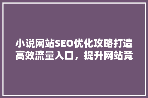 小说网站SEO优化攻略打造高效流量入口，提升网站竞争力  第1张