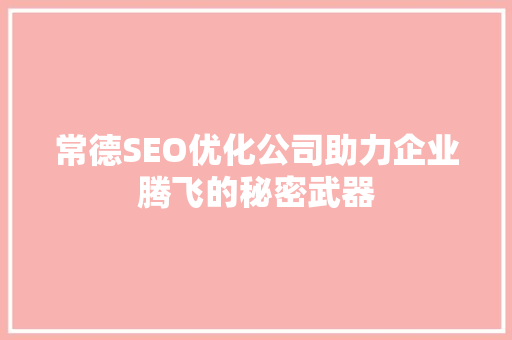 常德SEO优化公司助力企业腾飞的秘密武器