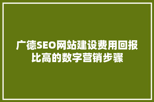 广德SEO网站建设费用回报比高的数字营销步骤