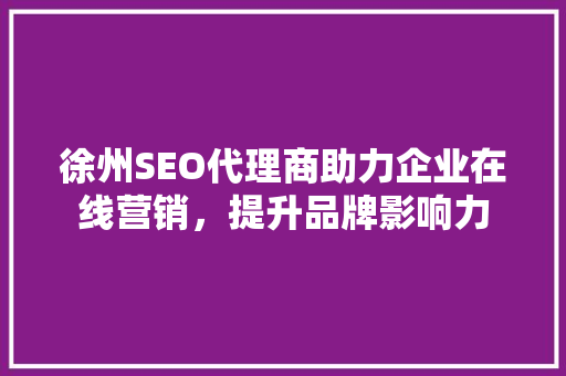 徐州SEO代理商助力企业在线营销，提升品牌影响力