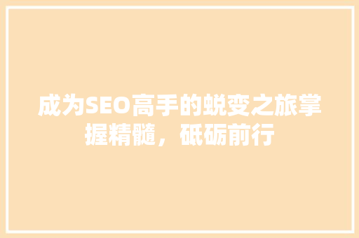 成为SEO高手的蜕变之旅掌握精髓，砥砺前行