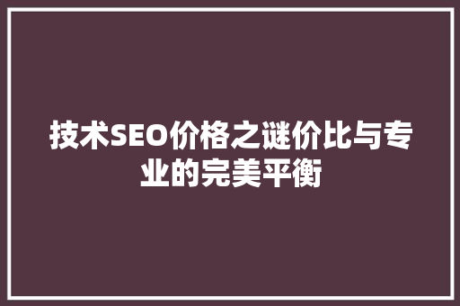 技术SEO价格之谜价比与专业的完美平衡