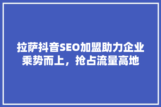 拉萨抖音SEO加盟助力企业乘势而上，抢占流量高地  第1张