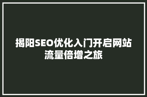 揭阳SEO优化入门开启网站流量倍增之旅