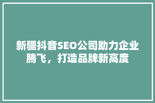 新疆抖音SEO公司助力企业腾飞，打造品牌新高度  第1张