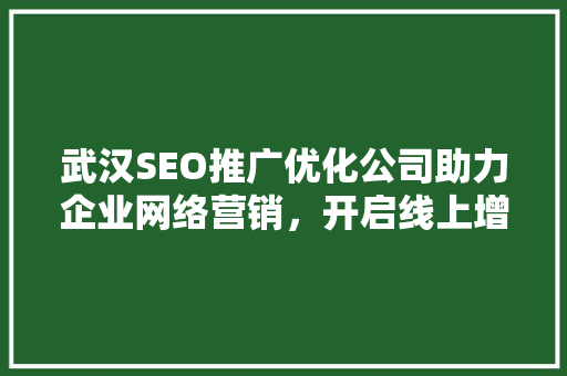 武汉SEO推广优化公司助力企业网络营销，开启线上增长新篇章