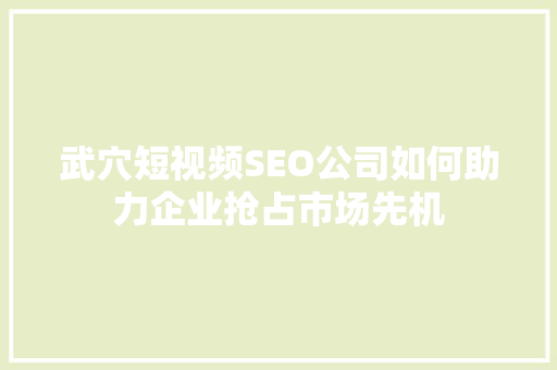 武穴短视频SEO公司如何助力企业抢占市场先机