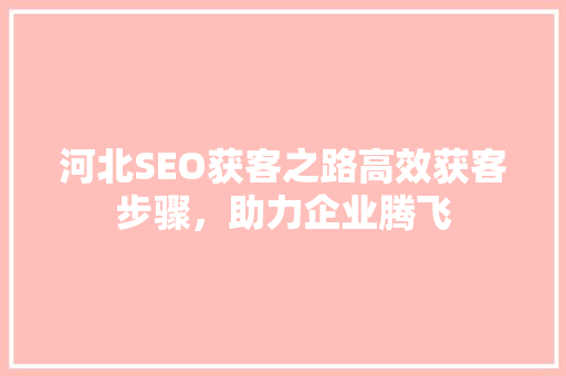 河北SEO获客之路高效获客步骤，助力企业腾飞