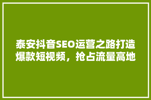 泰安抖音SEO运营之路打造爆款短视频，抢占流量高地
