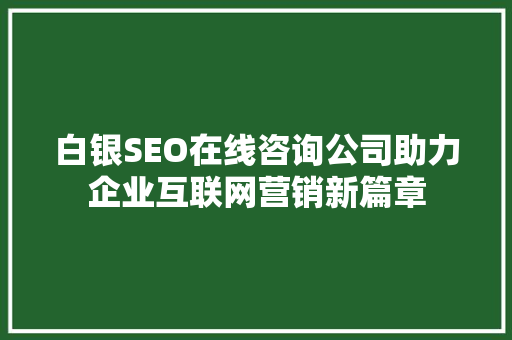 白银SEO在线咨询公司助力企业互联网营销新篇章