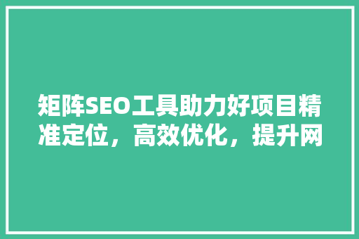 矩阵SEO工具助力好项目精准定位，高效优化，提升网站排名新境界