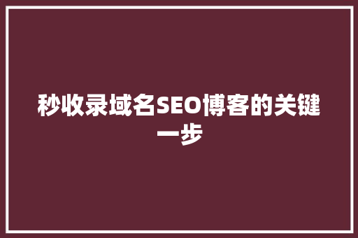 秒收录域名SEO博客的关键一步