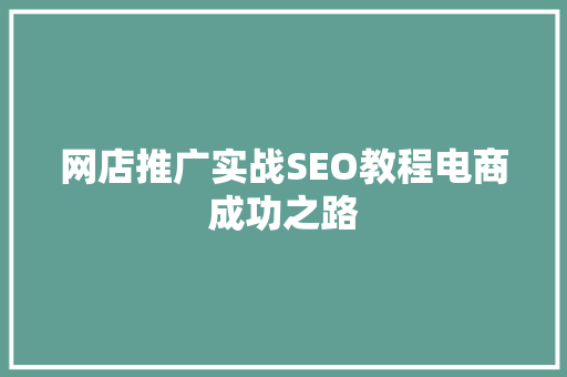 网店推广实战SEO教程电商成功之路