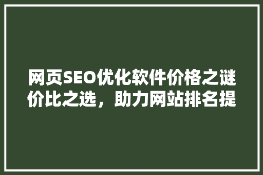 网页SEO优化软件价格之谜价比之选，助力网站排名提升