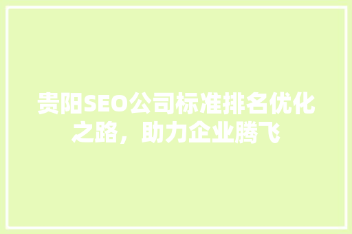 贵阳SEO公司标准排名优化之路，助力企业腾飞