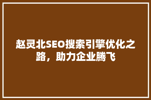 赵灵北SEO搜索引擎优化之路，助力企业腾飞
