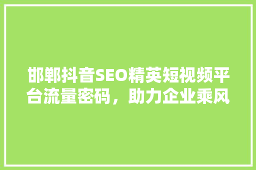 邯郸抖音SEO精英短视频平台流量密码，助力企业乘风破浪