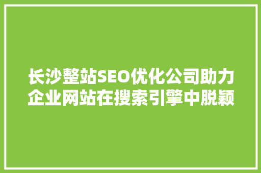 长沙整站SEO优化公司助力企业网站在搜索引擎中脱颖而出  第1张