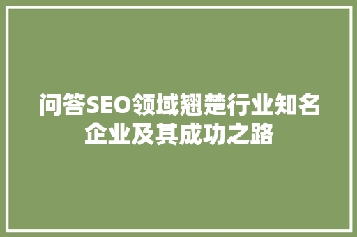 问答SEO领域翘楚行业知名企业及其成功之路