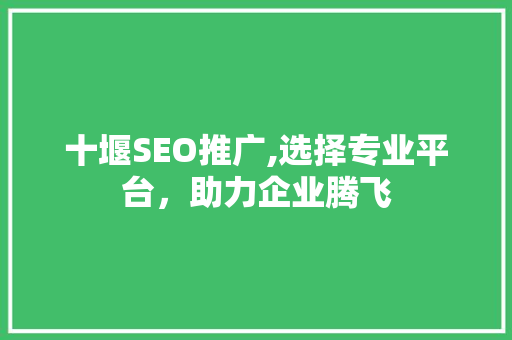 十堰SEO推广,选择专业平台，助力企业腾飞