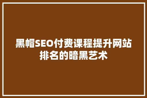 黑帽SEO付费课程提升网站排名的暗黑艺术