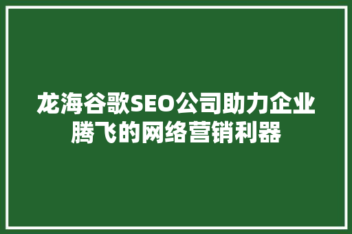 龙海谷歌SEO公司助力企业腾飞的网络营销利器