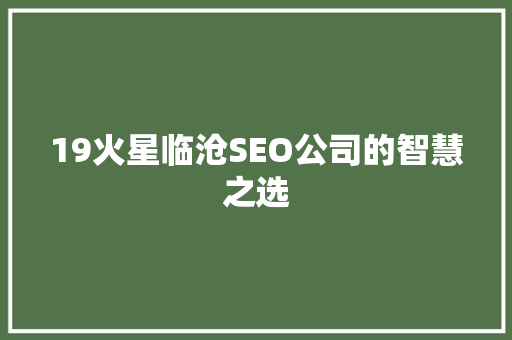 19火星临沧SEO公司的智慧之选