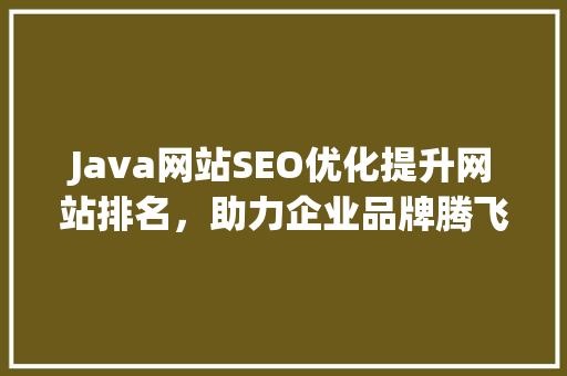 Java网站SEO优化提升网站排名，助力企业品牌腾飞
