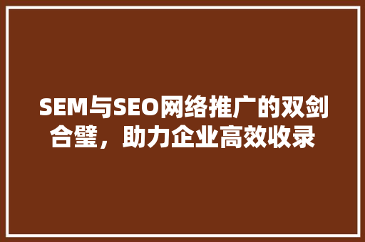 SEM与SEO网络推广的双剑合璧，助力企业高效收录  第1张