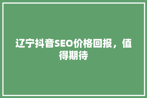 辽宁抖音SEO价格回报，值得期待