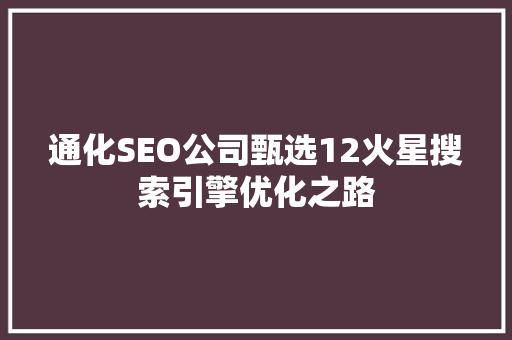 通化SEO公司甄选12火星搜索引擎优化之路