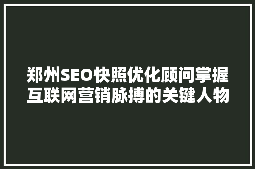 郑州SEO快照优化顾问掌握互联网营销脉搏的关键人物