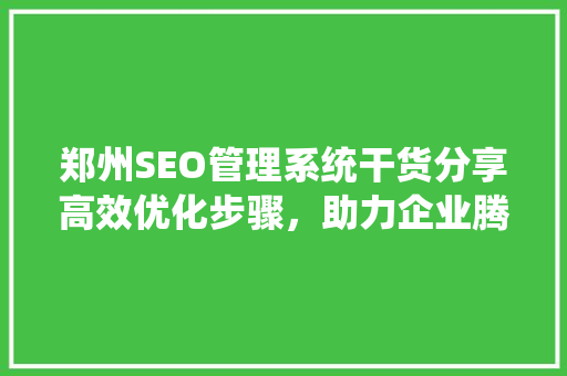 郑州SEO管理系统干货分享高效优化步骤，助力企业腾飞