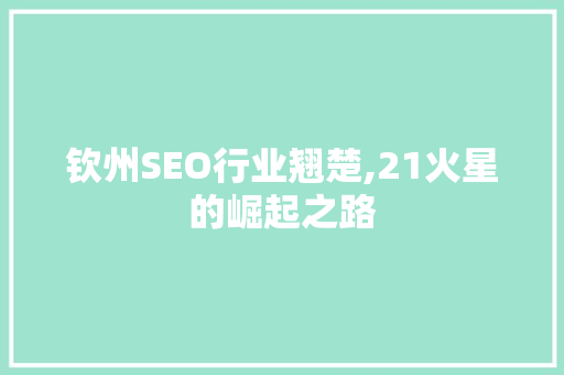 钦州SEO行业翘楚,21火星的崛起之路