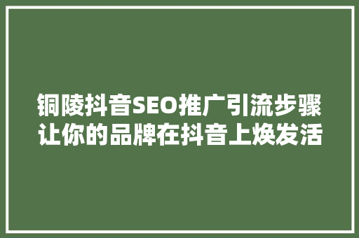 铜陵抖音SEO推广引流步骤让你的品牌在抖音上焕发活力