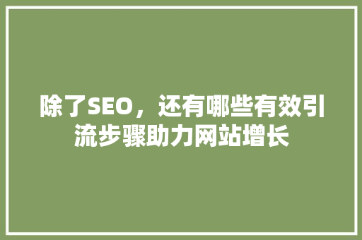 除了SEO，还有哪些有效引流步骤助力网站增长