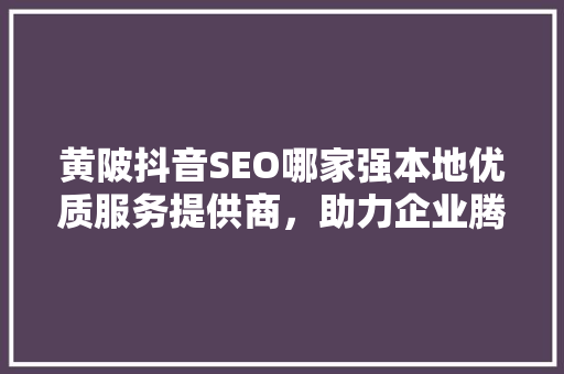 黄陂抖音SEO哪家强本地优质服务提供商，助力企业腾飞