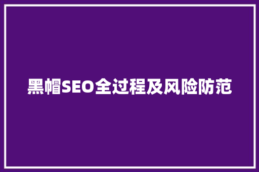 黑帽SEO全过程及风险防范